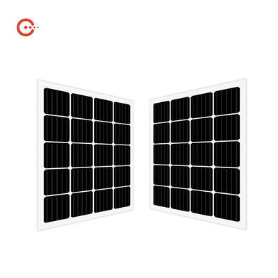 qualità  Rixin CE BIPV Solar Panels Transparent Glass Monocrystalline PV Module Fabbrica