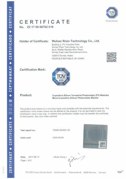 Porcellana Wuhan Rixin Technology Co., Ltd. Certificazioni